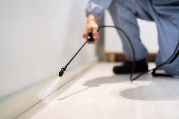 Certified termite inspector examining foundation in Nicollet