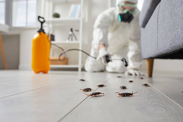 Post-Treatment Bed Bug Interceptor Monitoring in Nicollet
