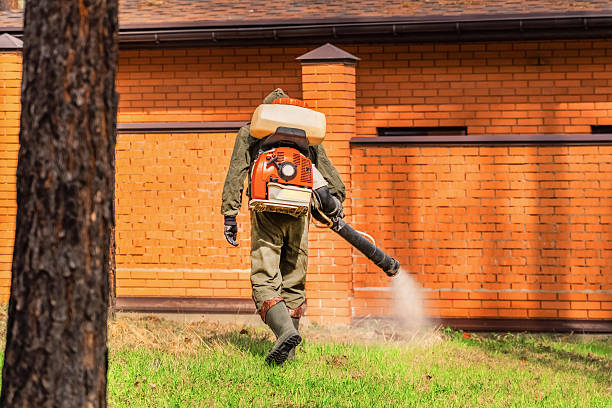 Bed Bug Clearance Verification and Documentation in Nicollet